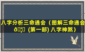 八字分析三命通会（图解三命通会 🦊  (第一部) 八字神煞）